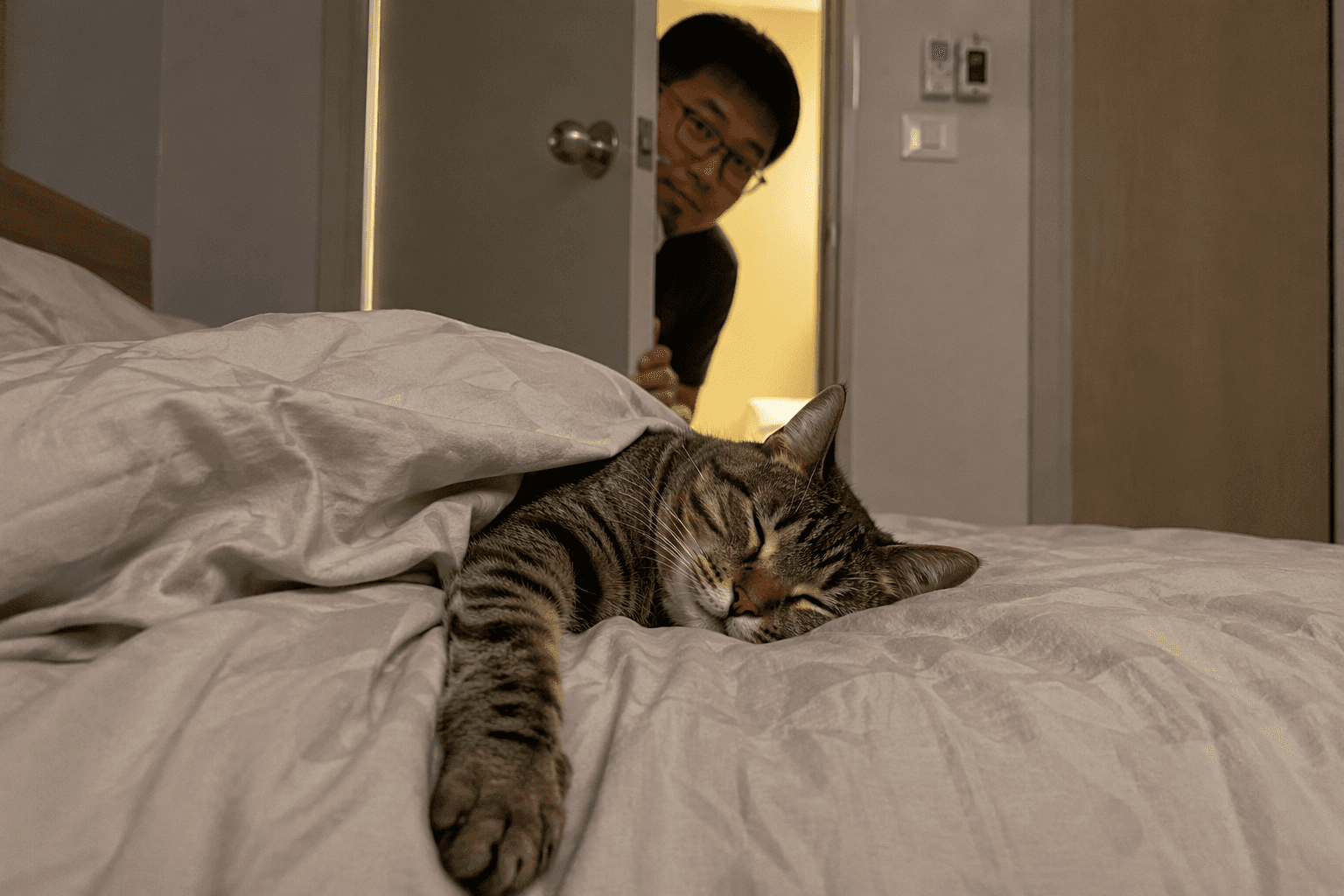Cat Generously Allows Owner To Sleep On Bed